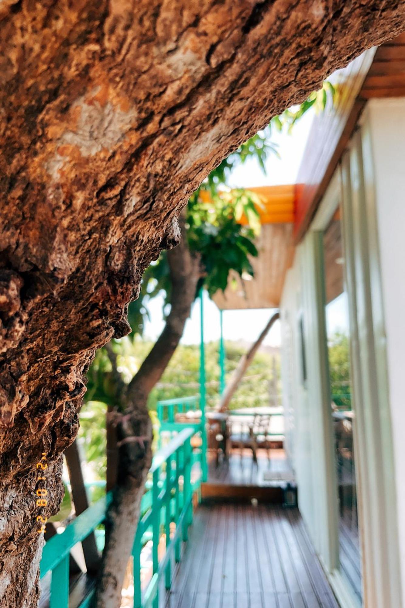 שייאו ליוקיו Little Ryukyu Hermit Crab Homestay מראה חיצוני תמונה