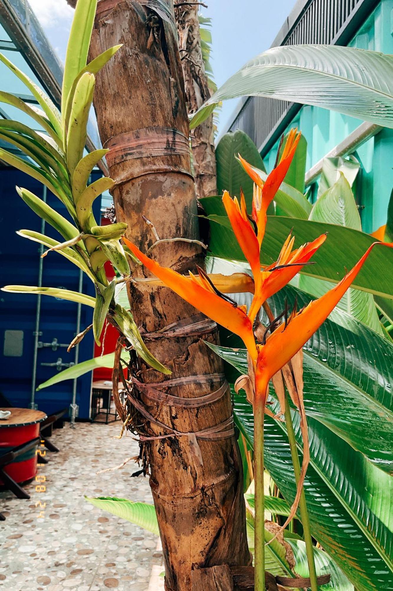 שייאו ליוקיו Little Ryukyu Hermit Crab Homestay מראה חיצוני תמונה
